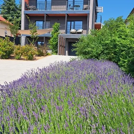 Profi Keco Apartament